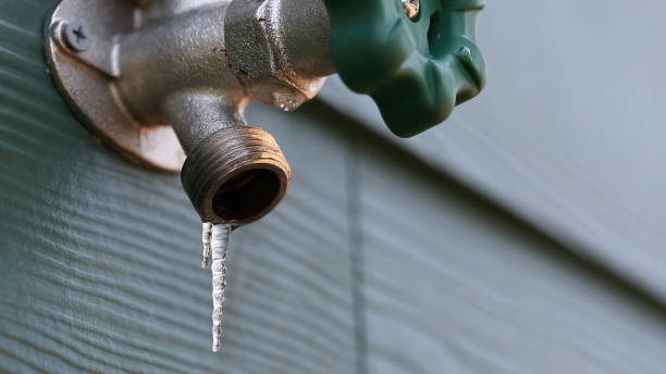 Best Plumbing Inspection Services  in Falling Waters, WV